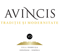 Logo vinuri Avincis